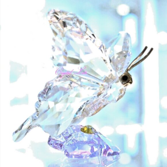 Swarovski SCS Butterfly 2013 Event Piece #1142859 Limited Edition RARE - Picture 1 of 10